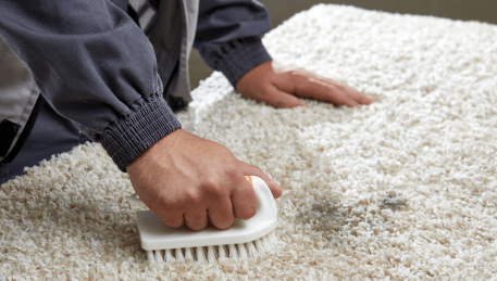 Professional Rug Cleaning Parwan